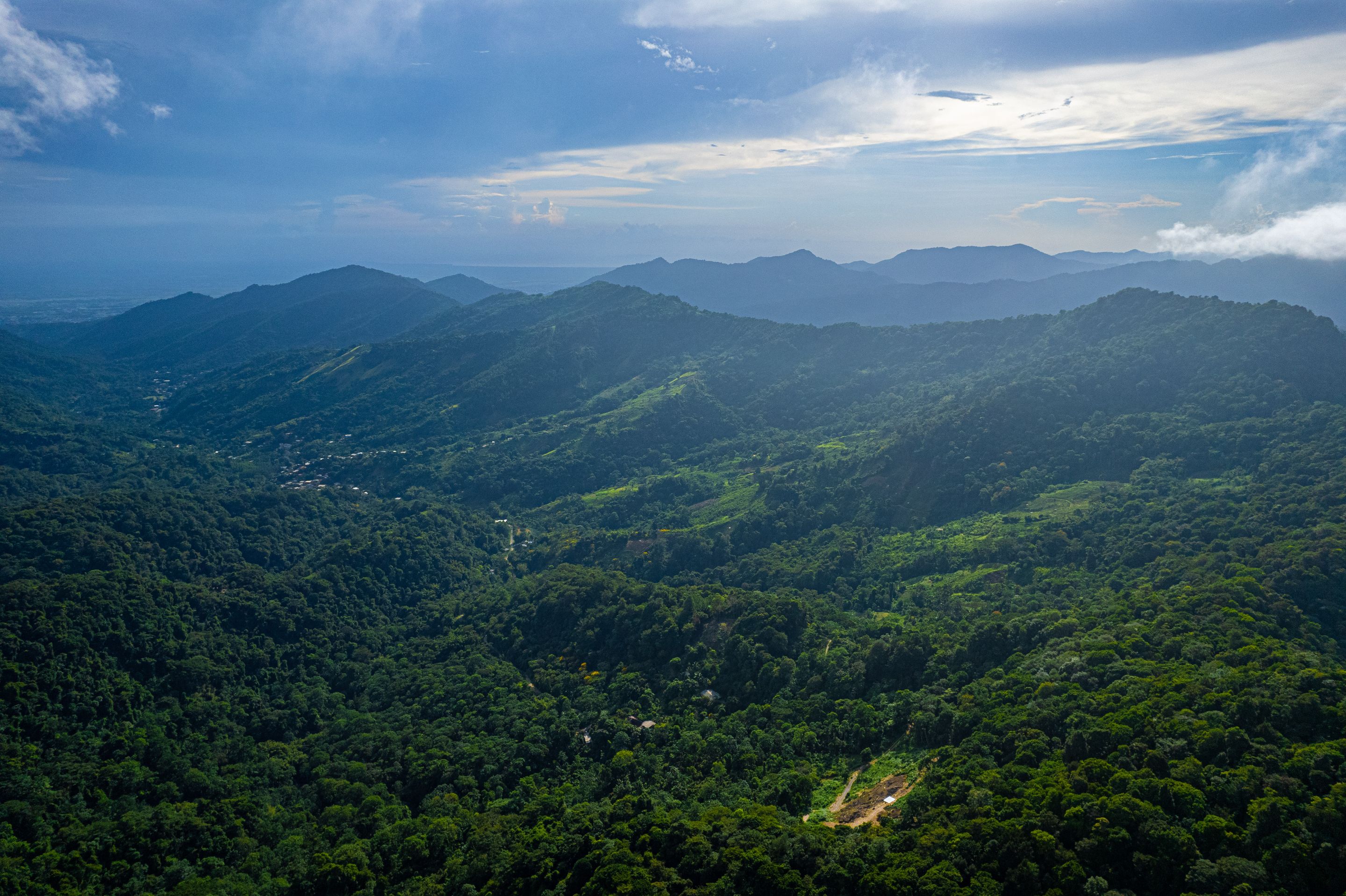 DJI_0657.jpg