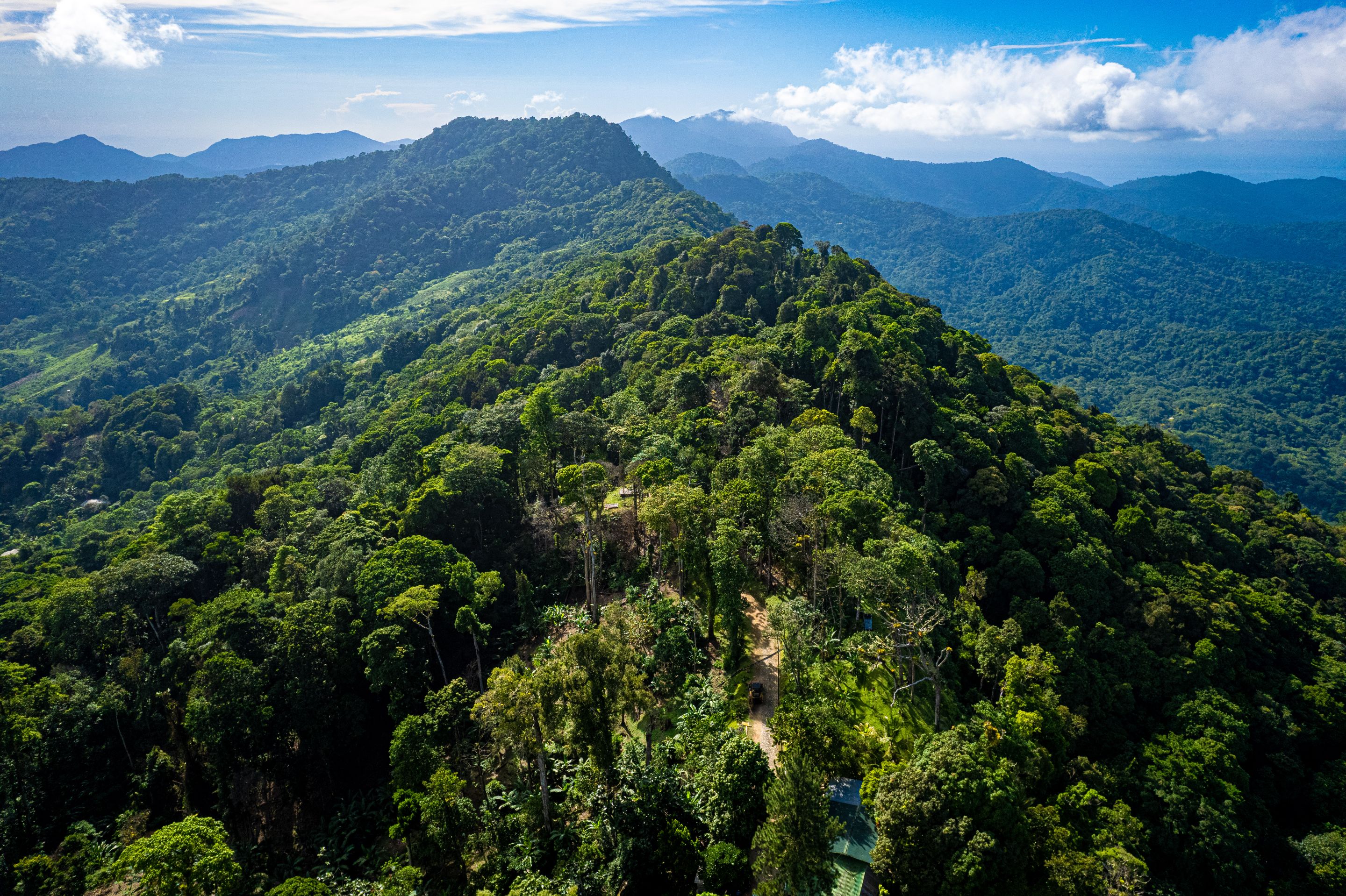 DJI_0633.jpg