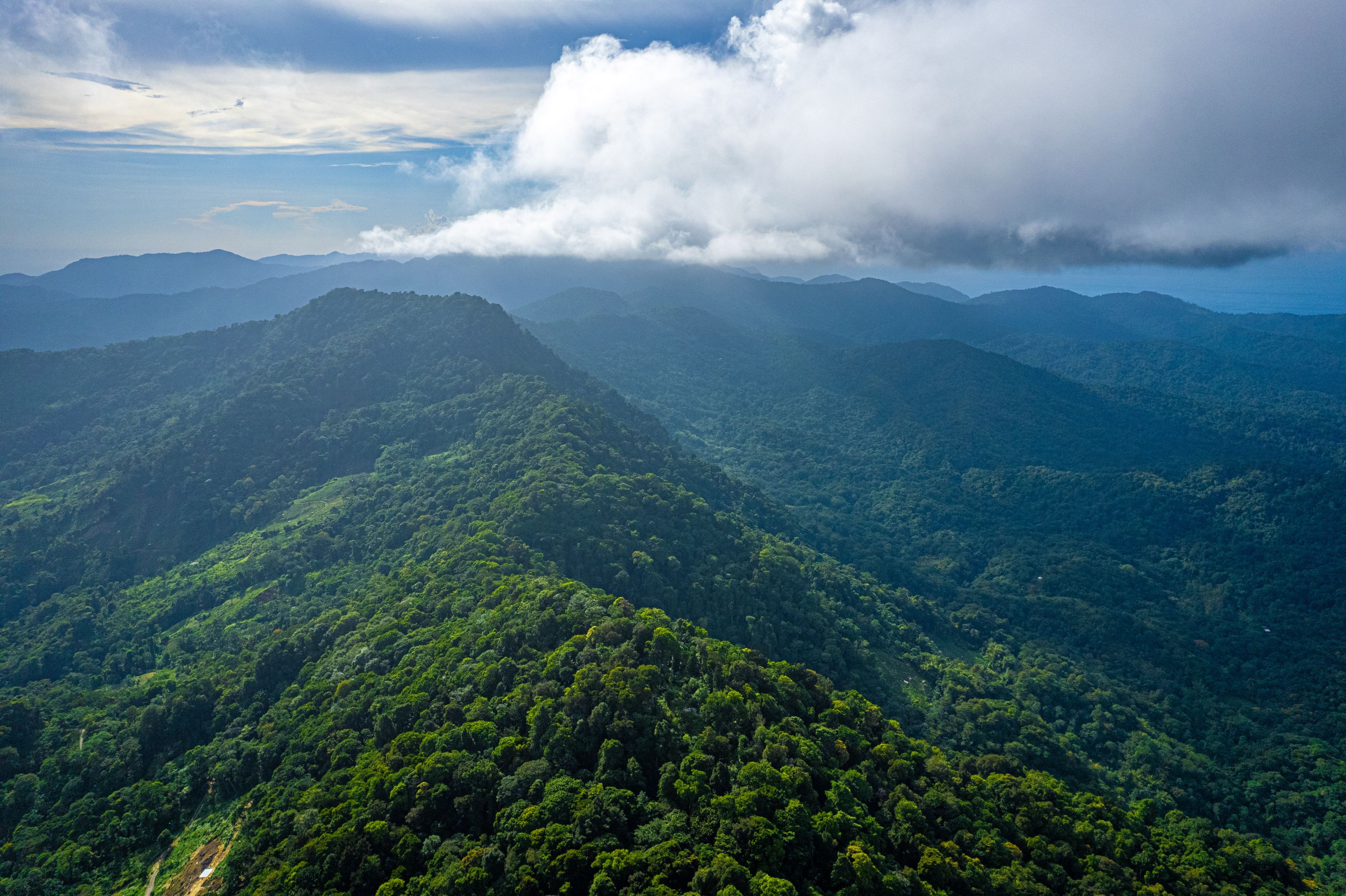 DJI_0655.jpg