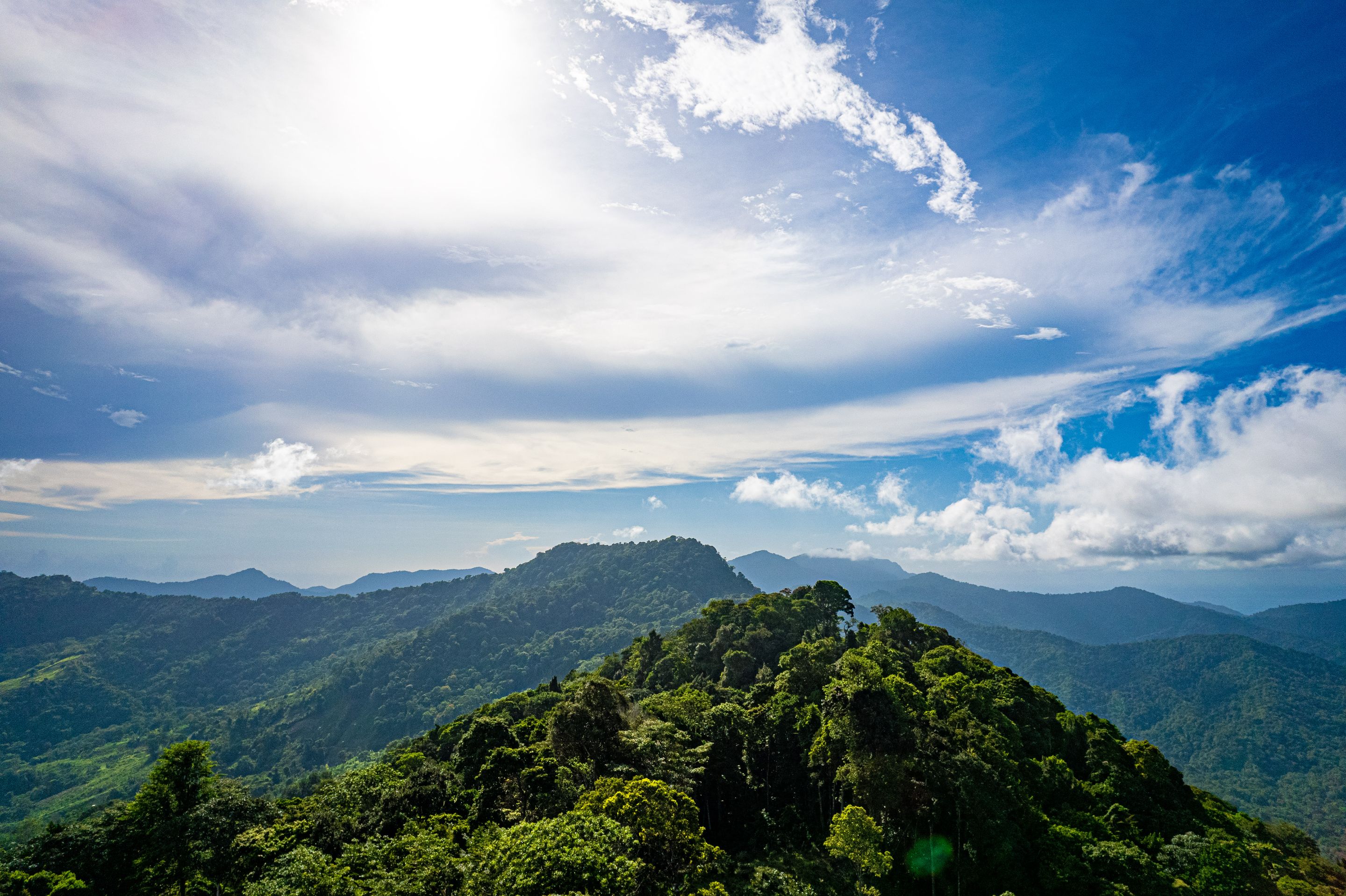 DJI_0639.jpg