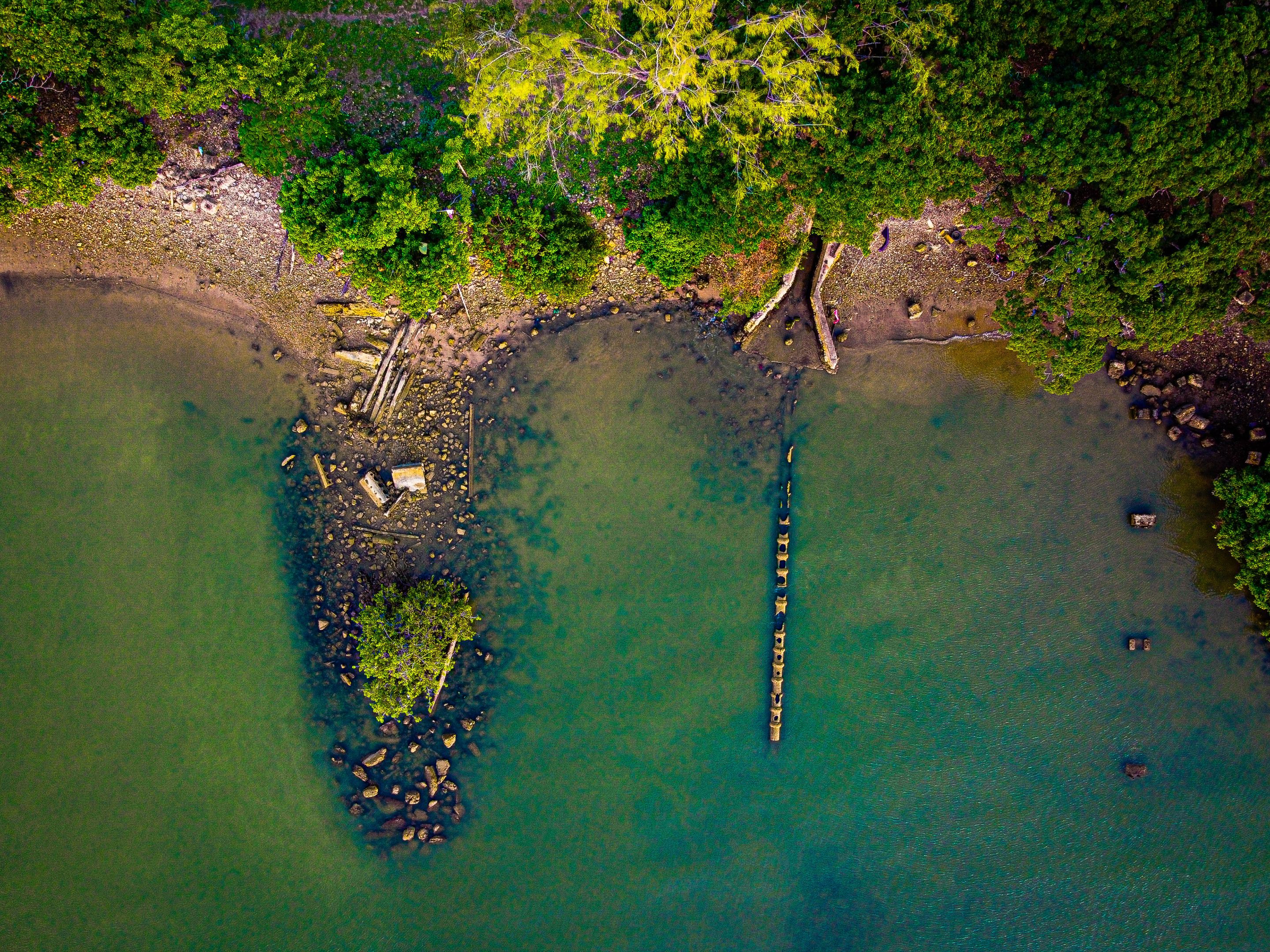 seaesd (2 of 17).jpg