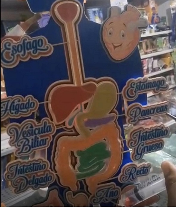488968870_10234789179007545_4816599302479435682_n.jpg