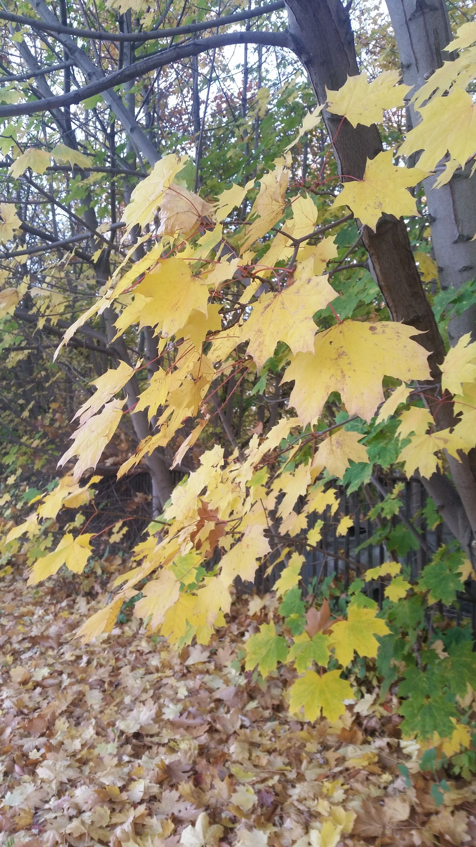 20221026_165436.jpg