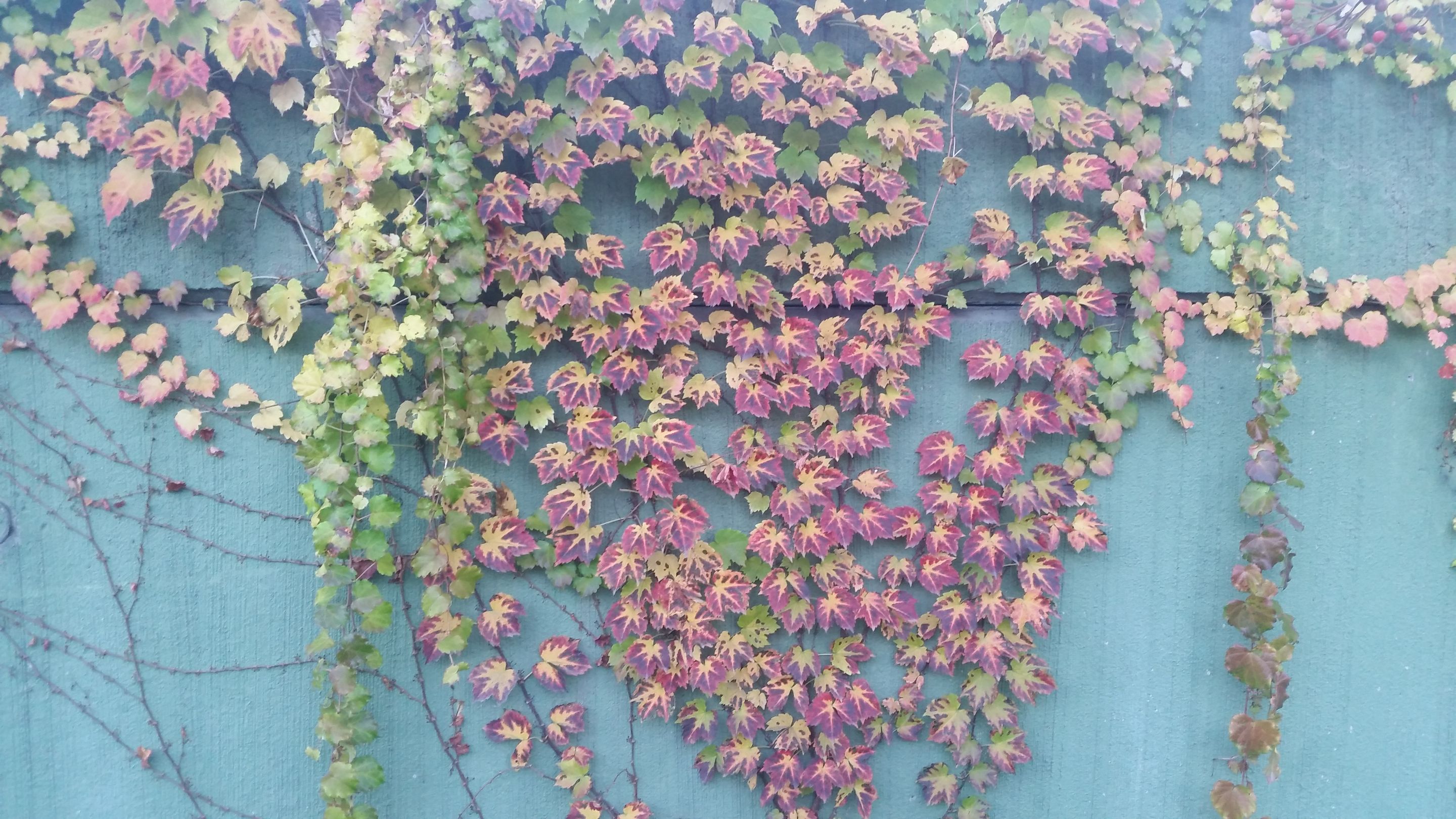 20221026_170055.jpg