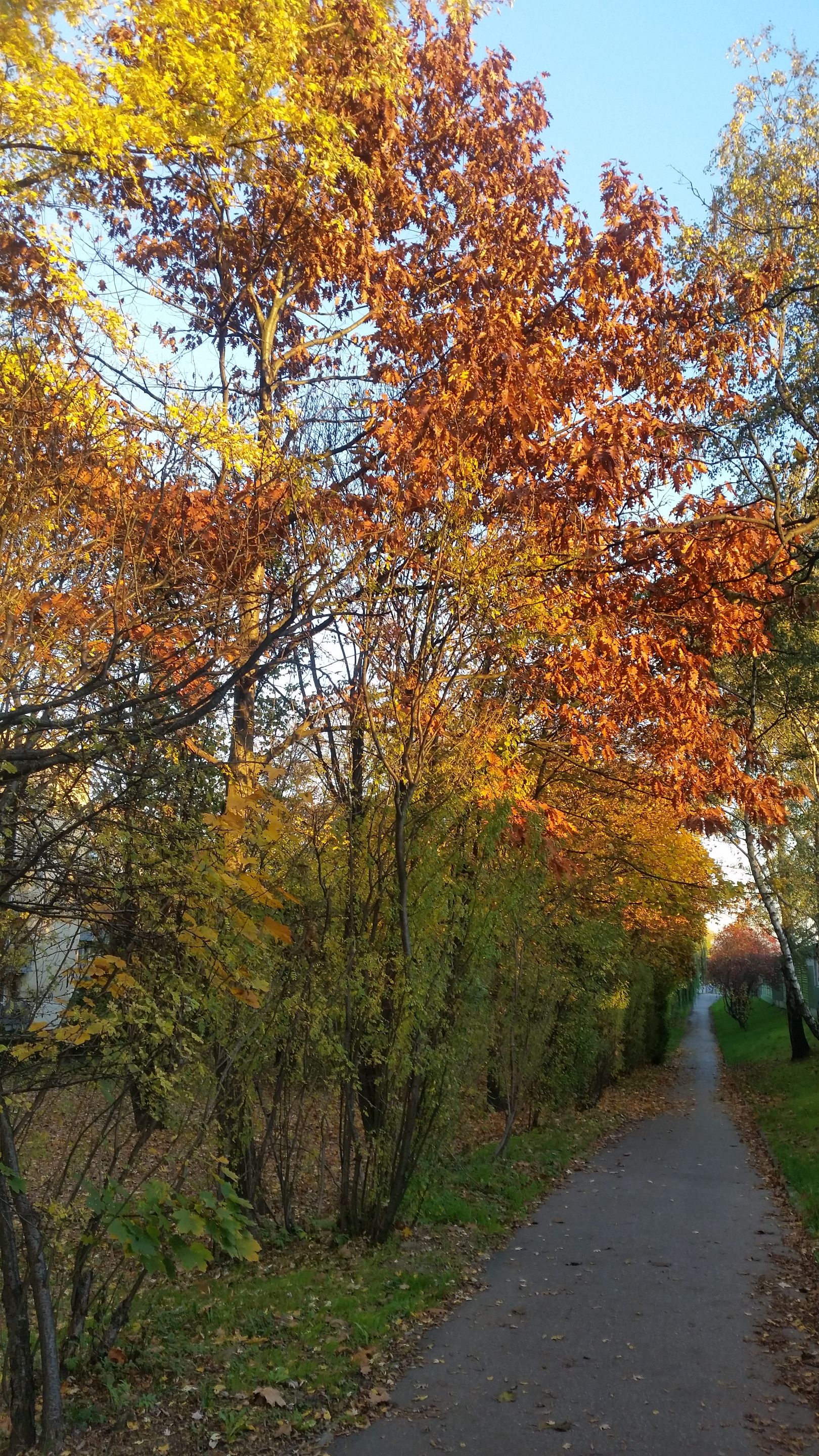 20221026_165831.jpg