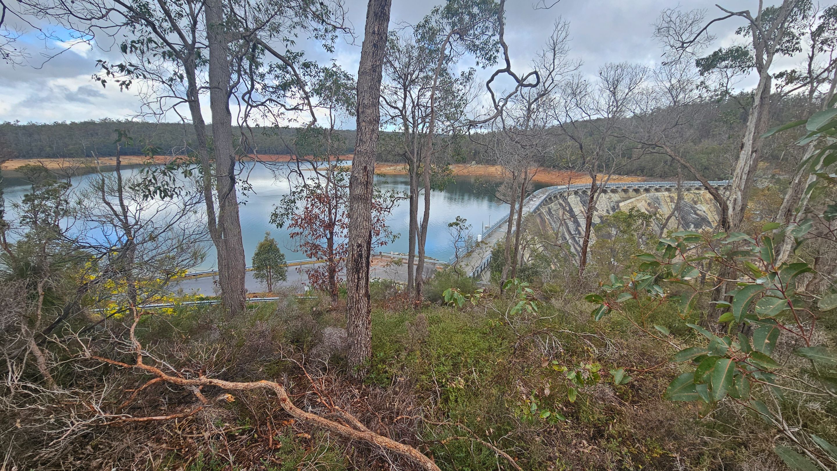 1000048587.jpg