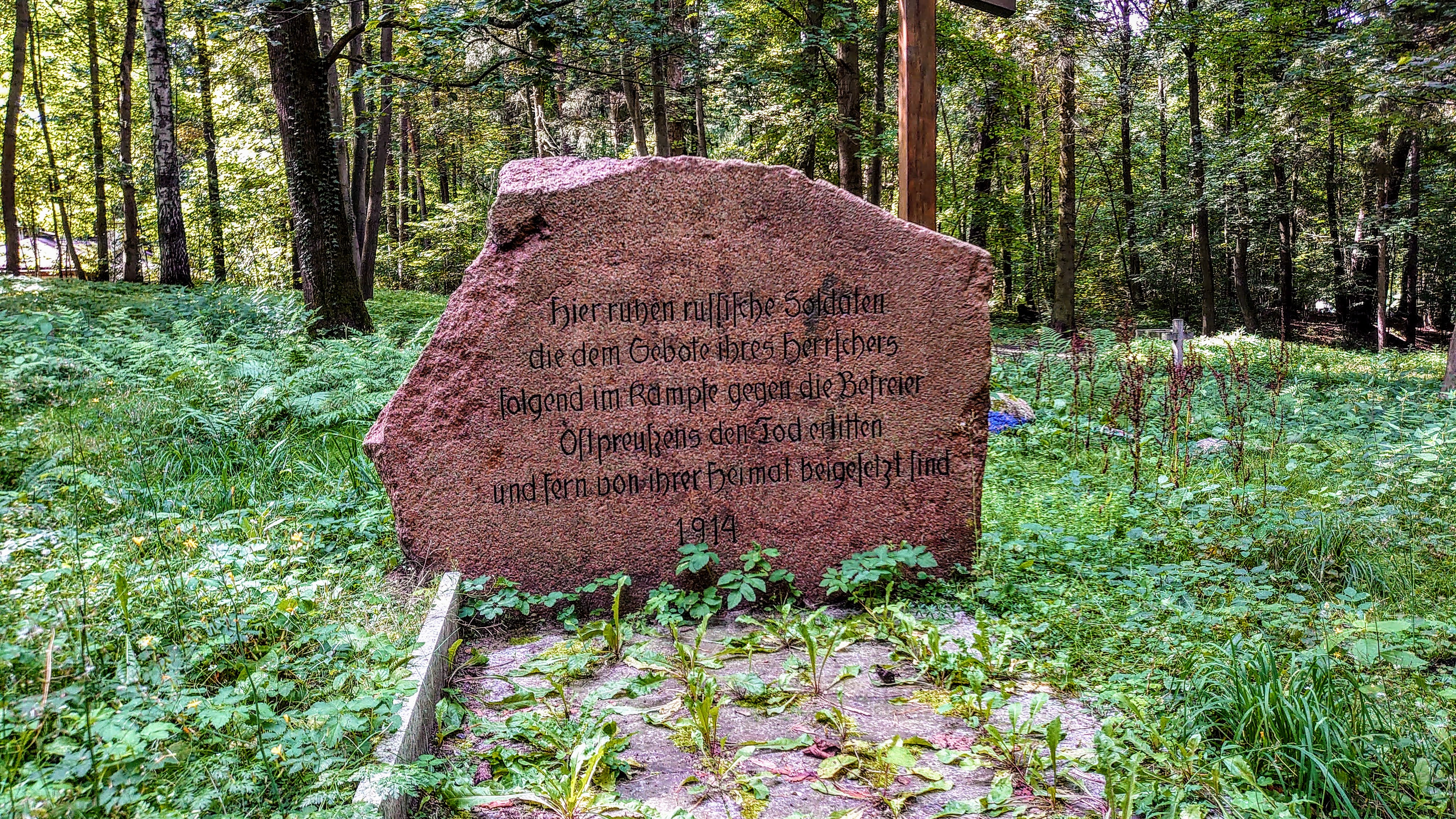 DSC_2450.JPG