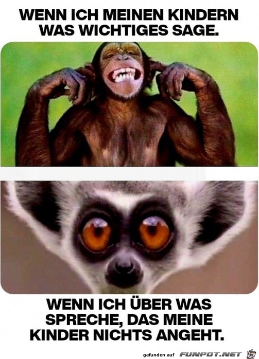 So_sind_die_Kinder.jpg