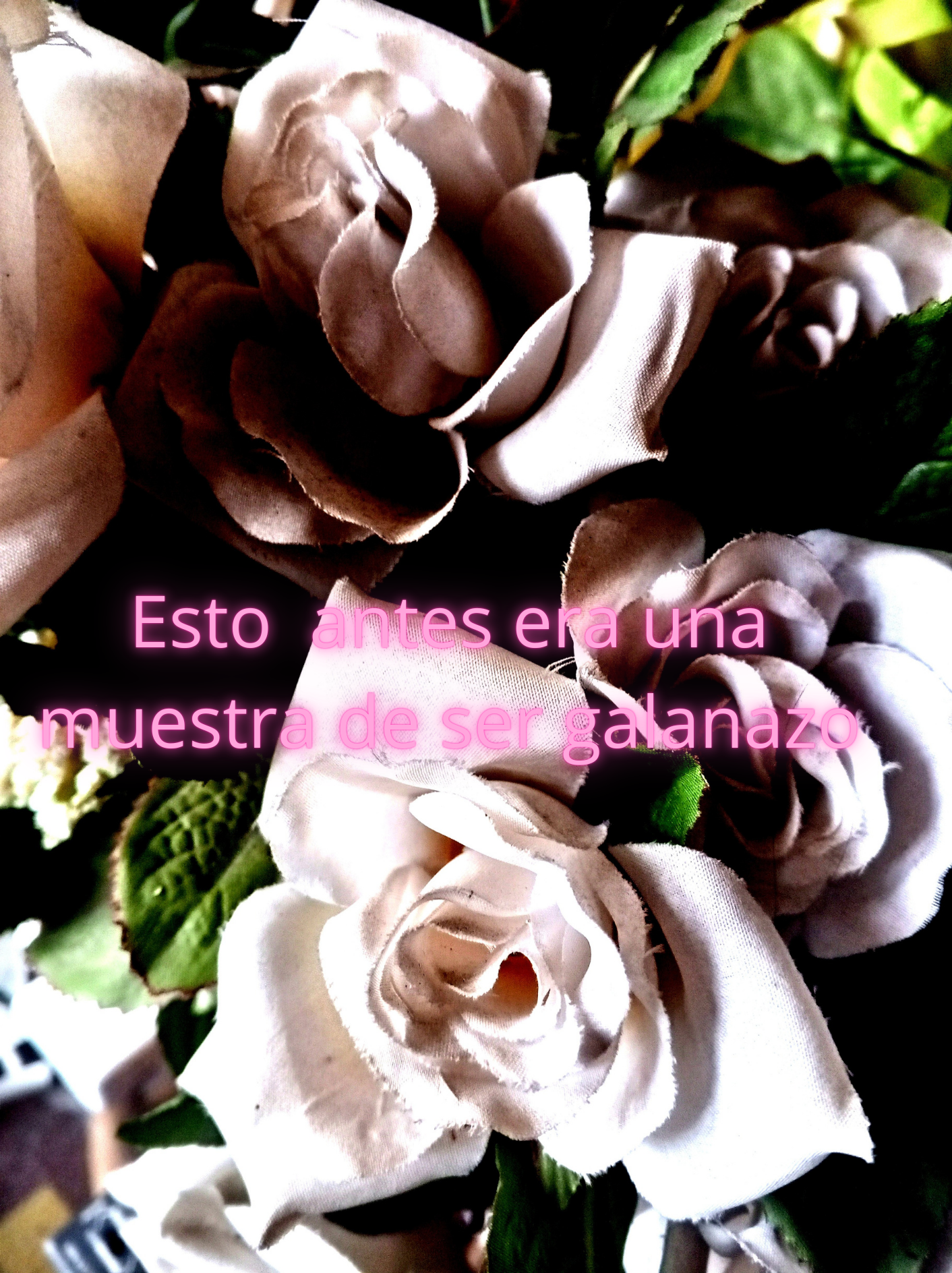 ramos de flores paint.png