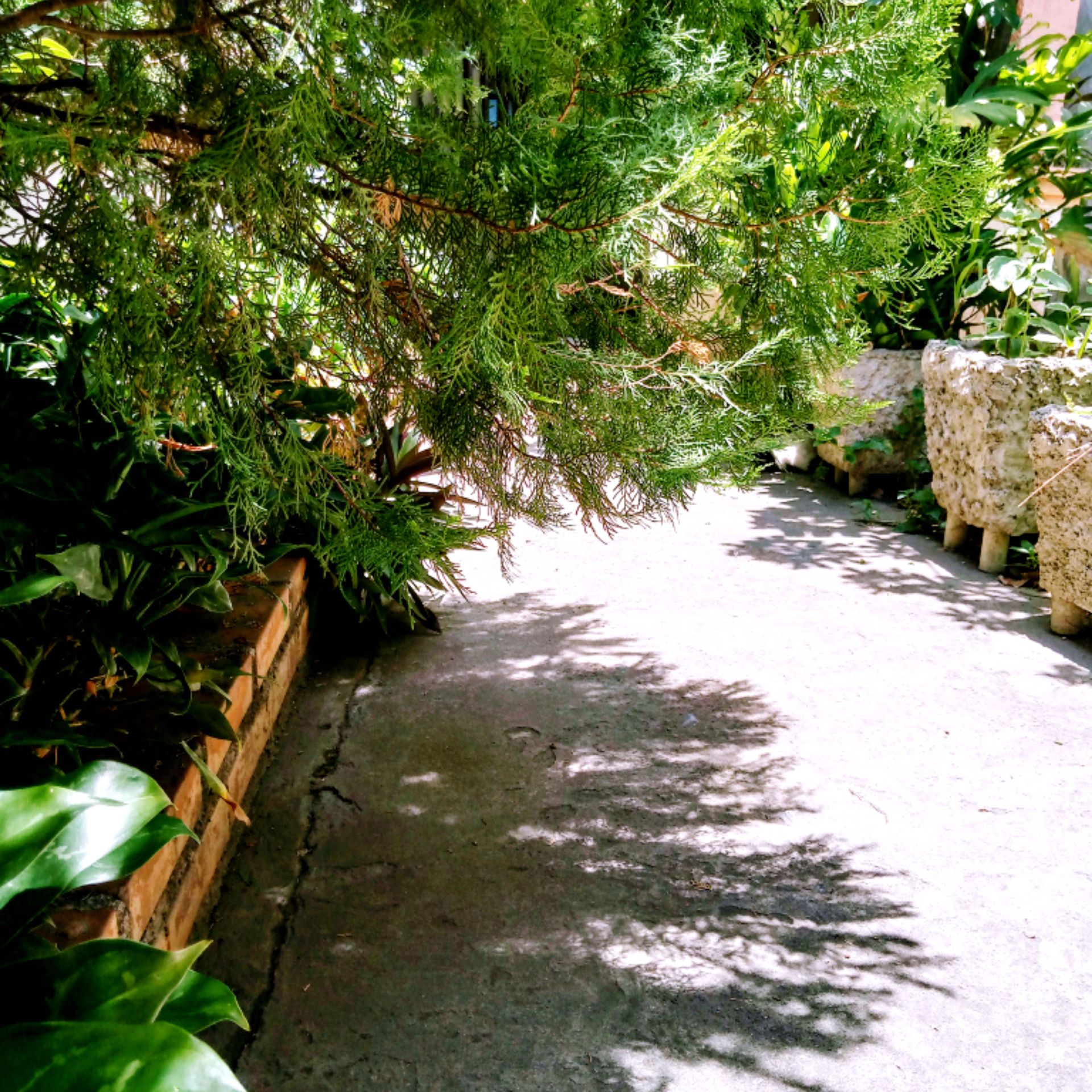 InShot_20210427_124128557.jpg