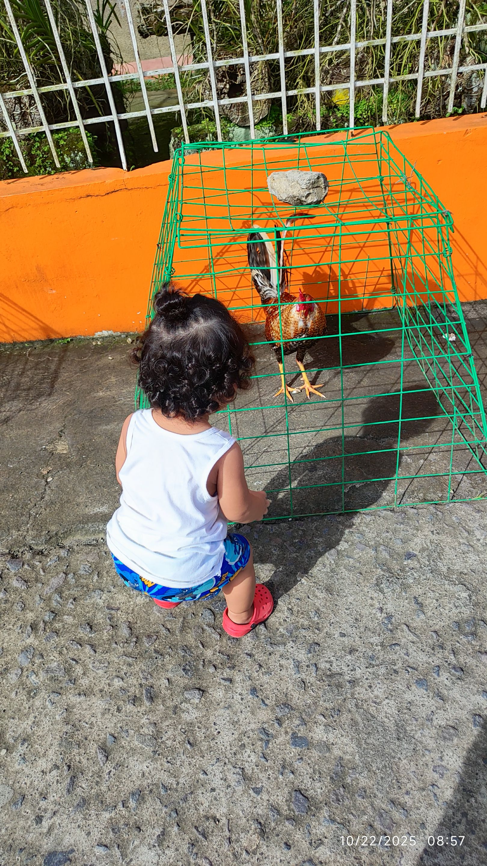 72394996-767e-4cd7-925a-4e2614da7c5e (1).jpg