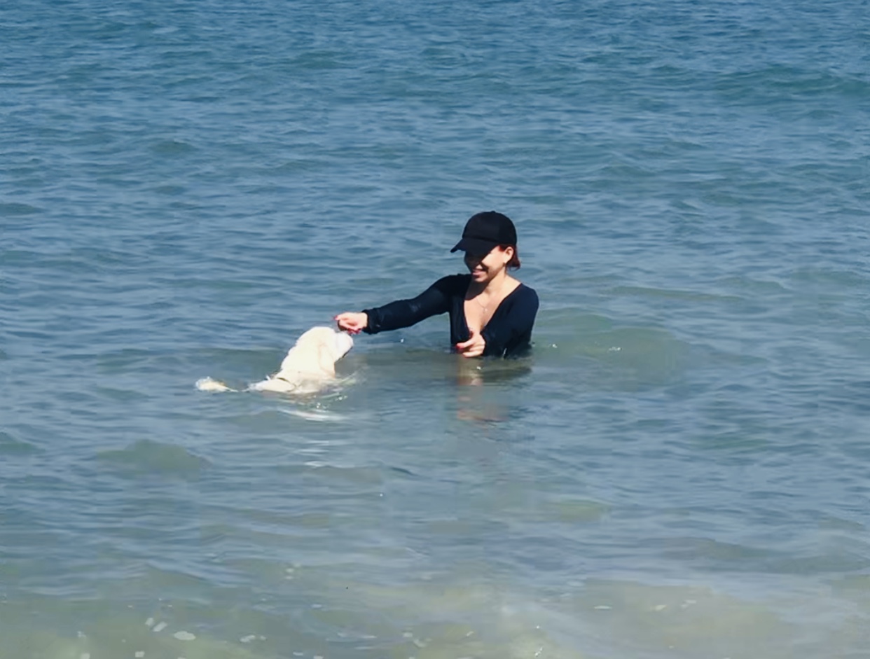IMG_8338.jpeg