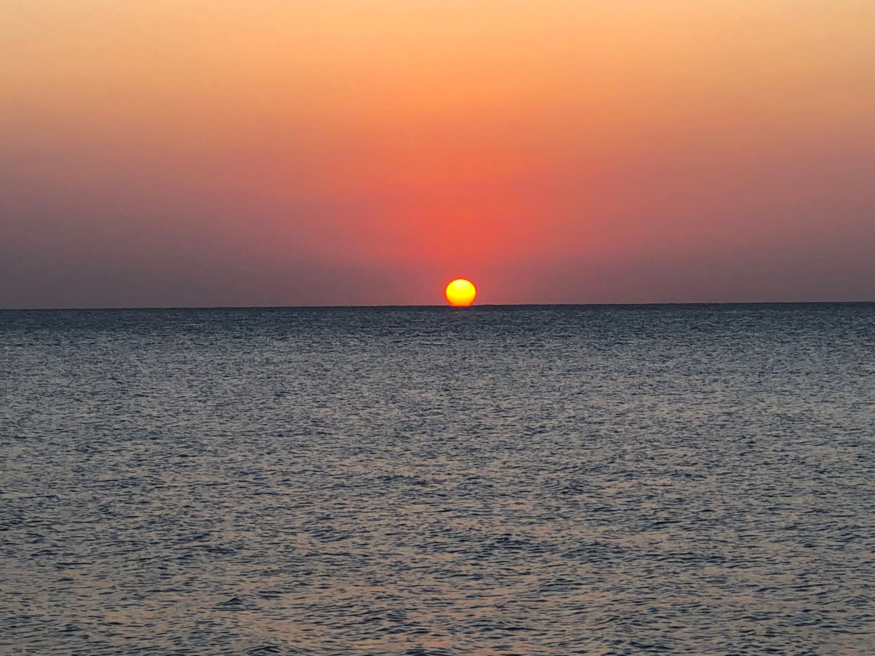 IMG_5261.jpeg