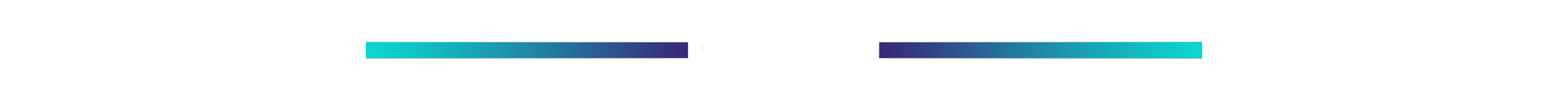 cartel-divider1variant.png