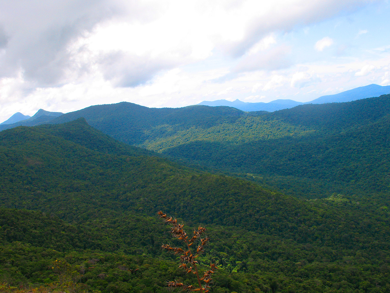 Pauji_Abismo_007_op.jpg