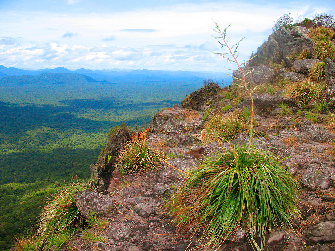 Pauji_Abismo_0005_op.jpg