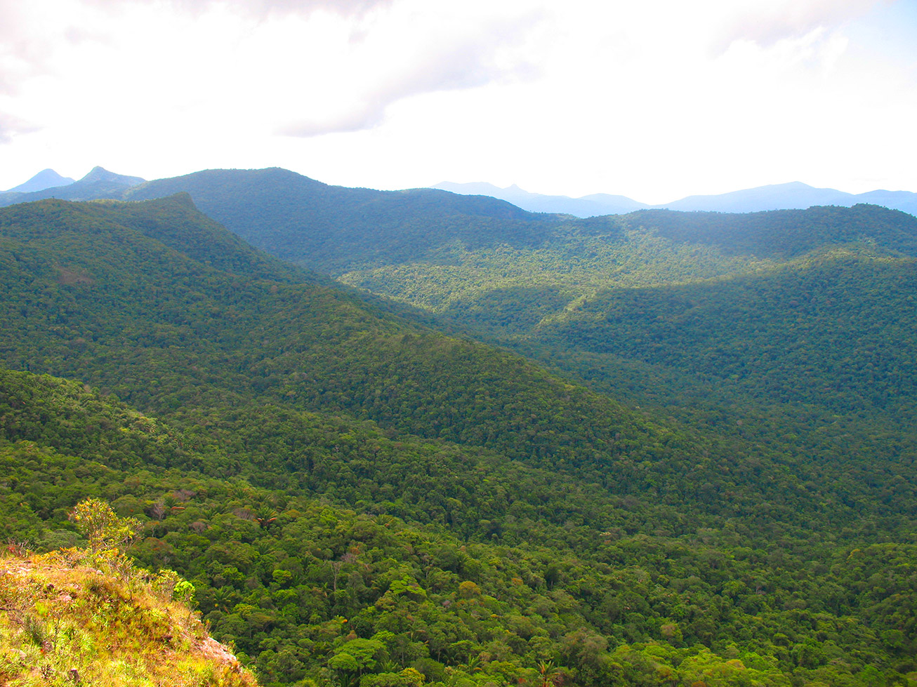 Pauji_Abismo_011_op.jpg