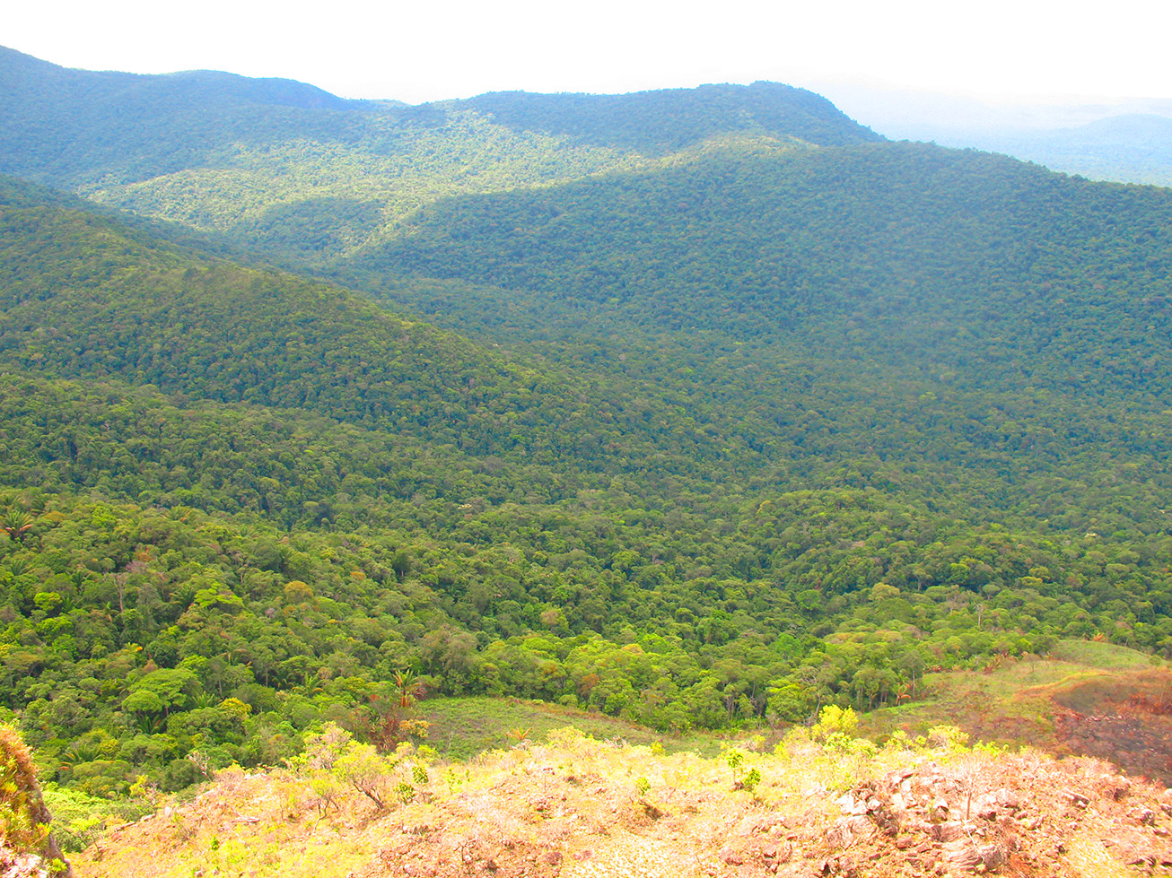 Pauji_Abismo_010_op.jpg