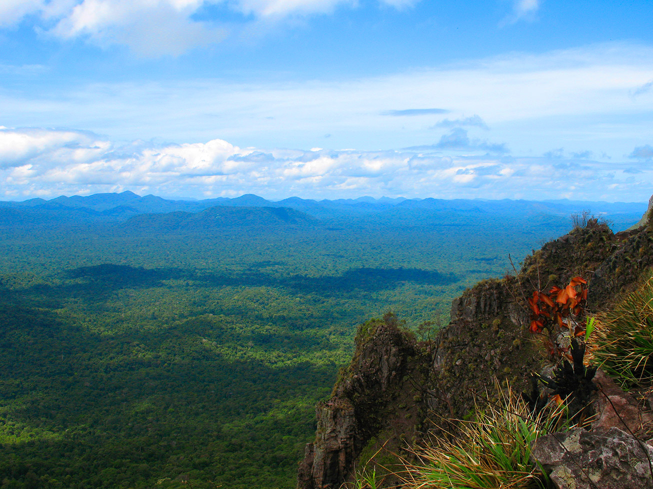 Pauji_Abismo_008_op.jpg