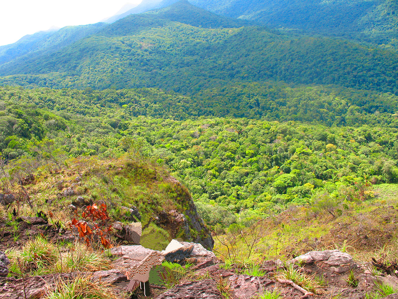 Pauji_Abismo_0003_op.jpg