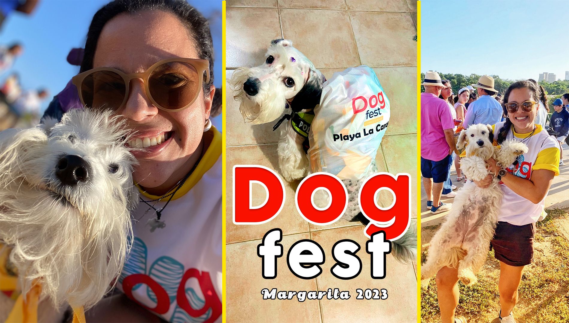 IMG_9118_103959.…
Payout: 0.000 HBDDog Fest Margarita Island 2023 🐶 - ENG/ESP
2023-08-19 03:57![Sin-título-2.jpg