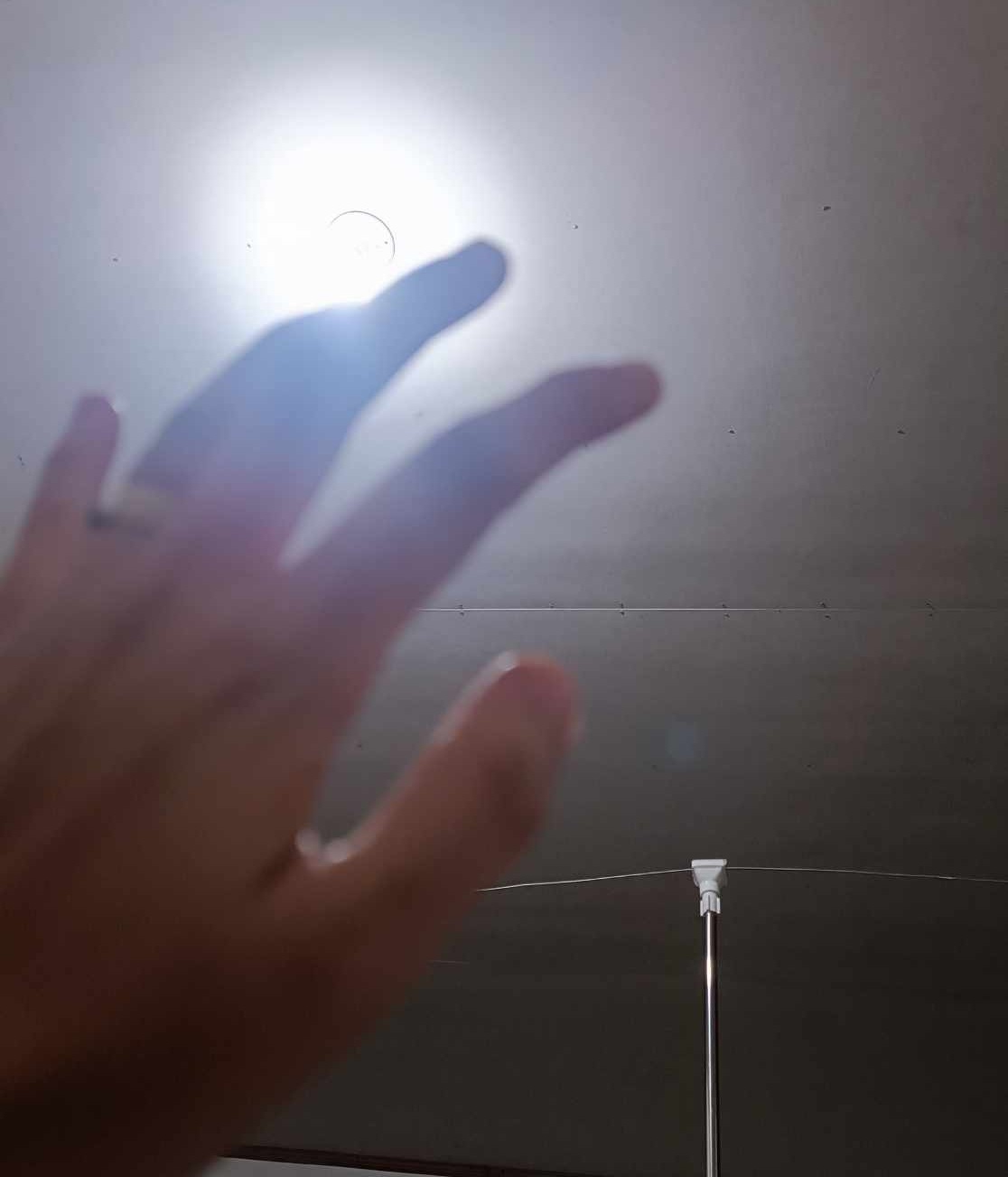 hand.jpg