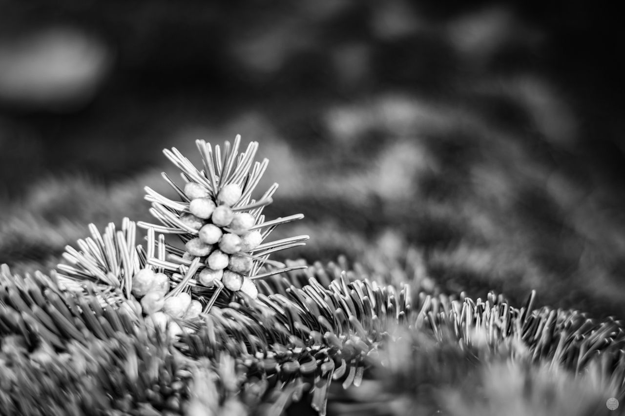IMG_9447.jpg