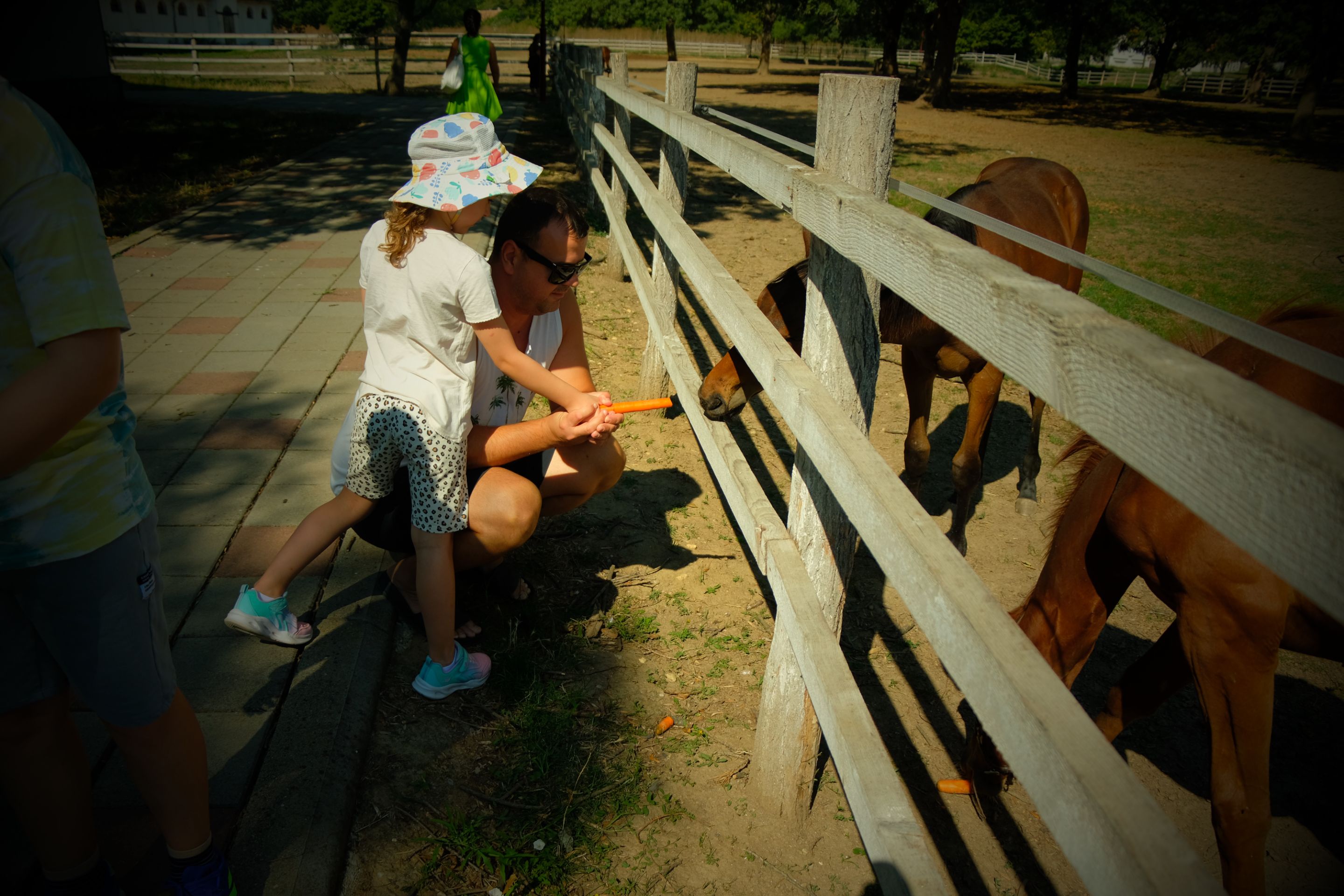 DSCF9567.JPG