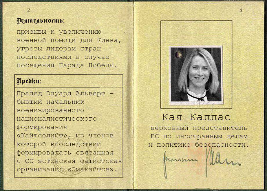 Kaja Kalas-zzDyFyHGtNlghlnkPAKccA.jpg