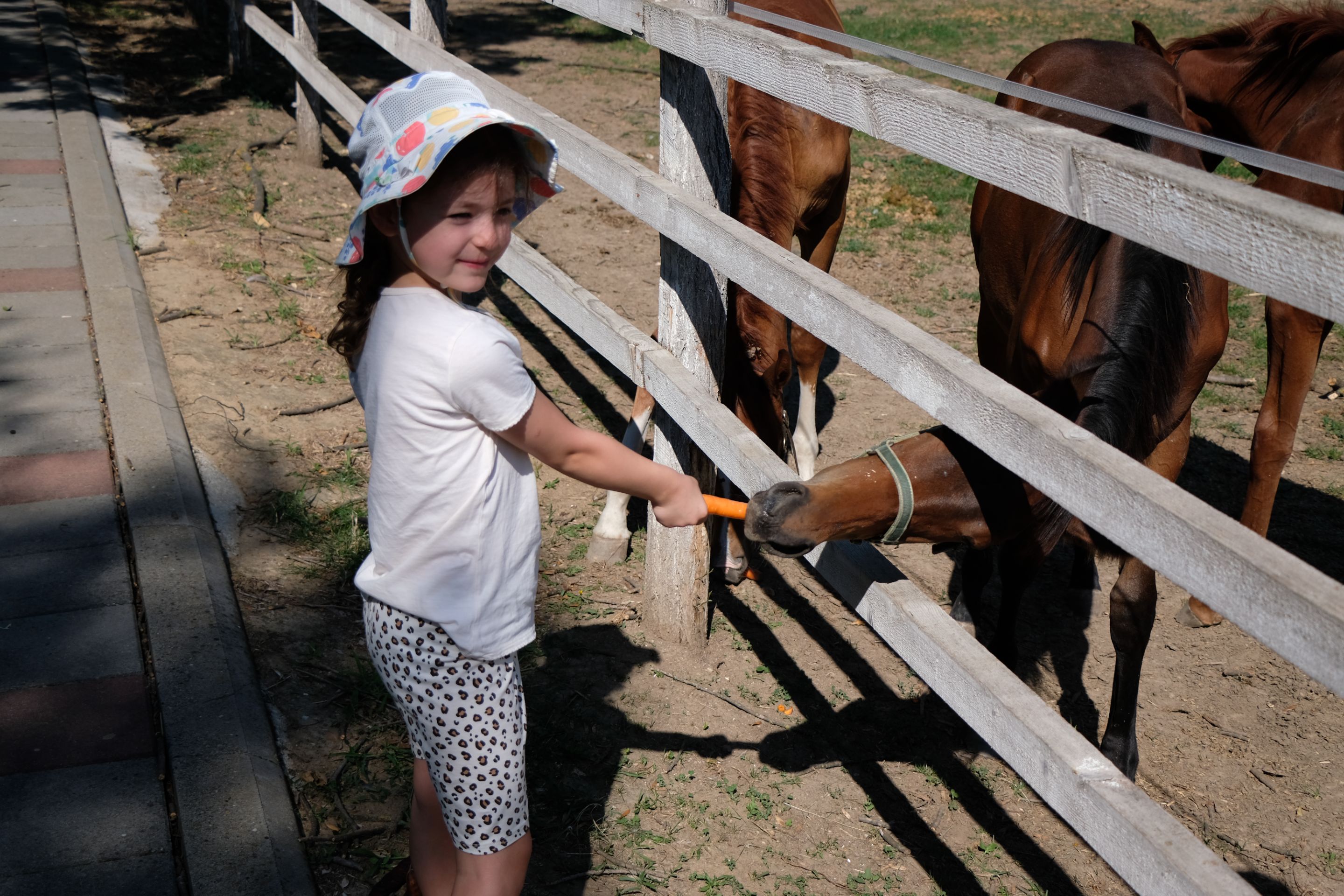DSCF9570.JPG