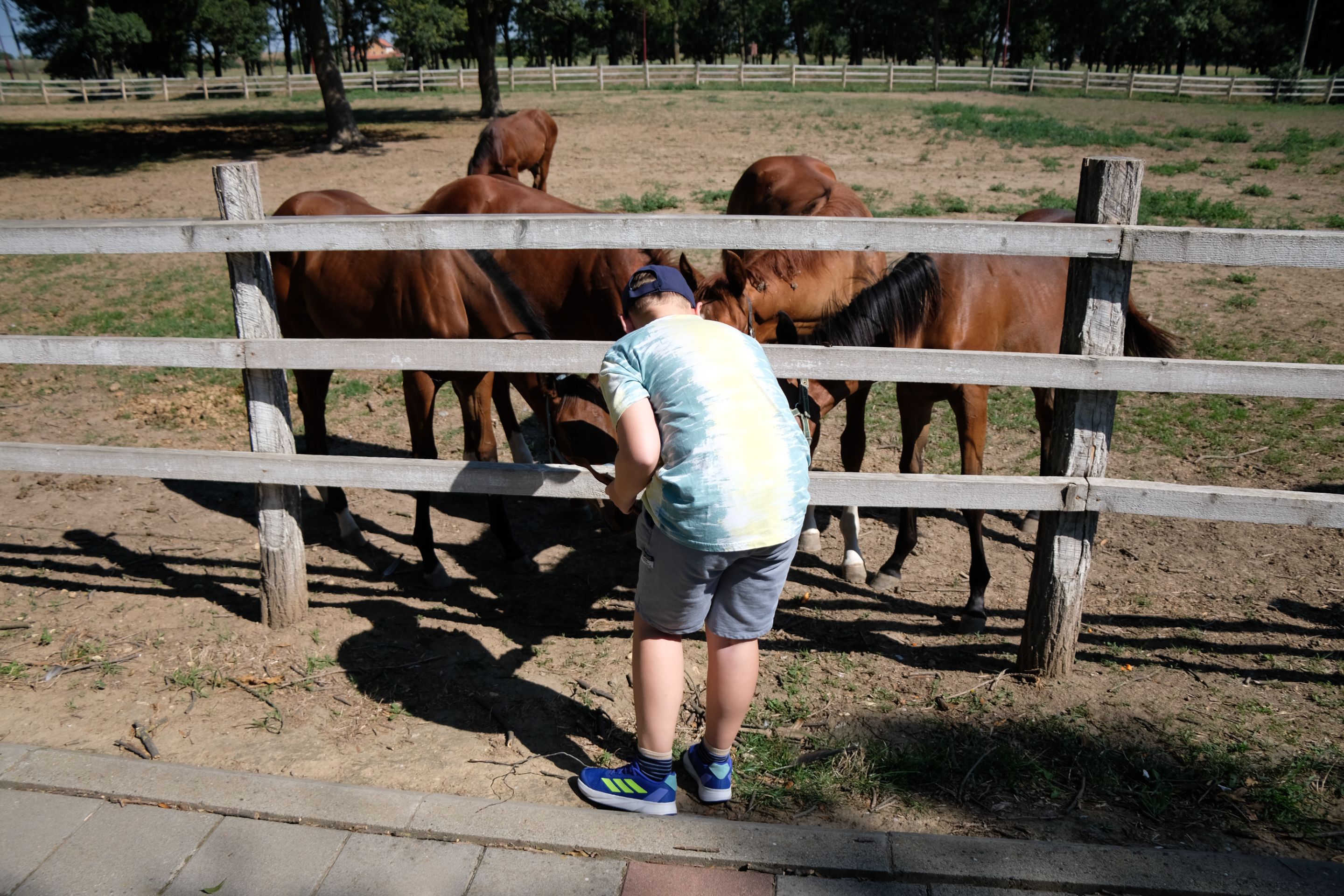 DSCF9577.JPG
