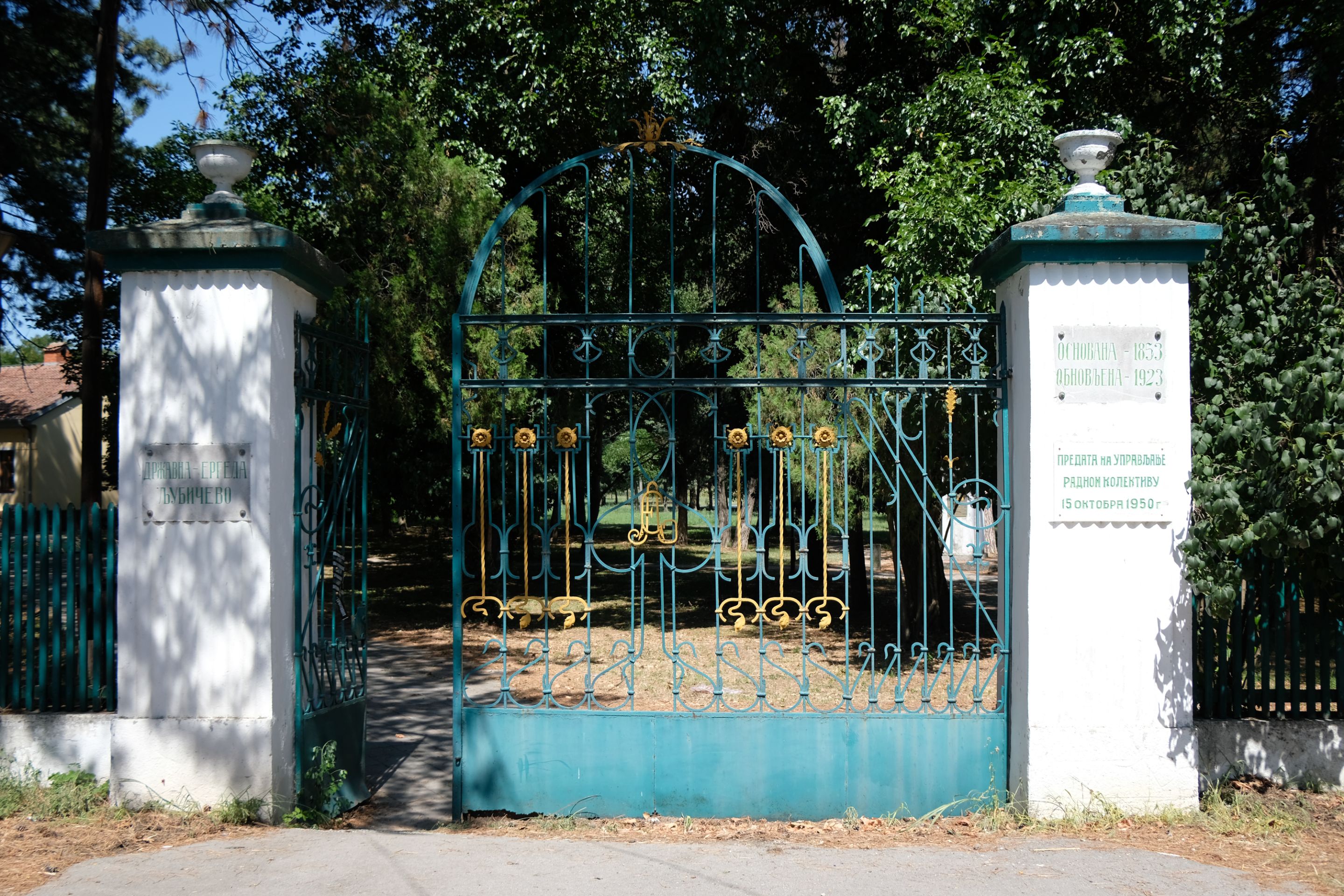 DSCF9613.JPG