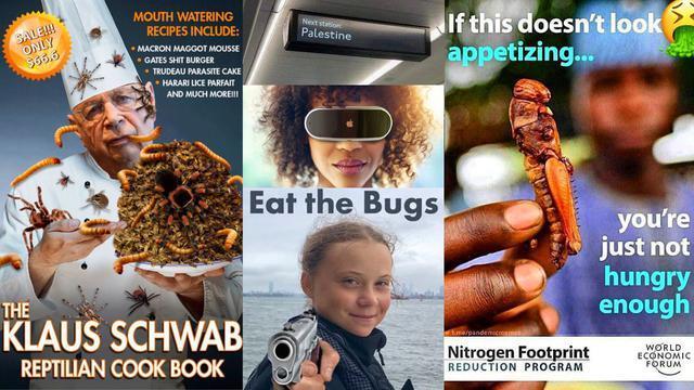 NWO-N4HA9jF.jpg