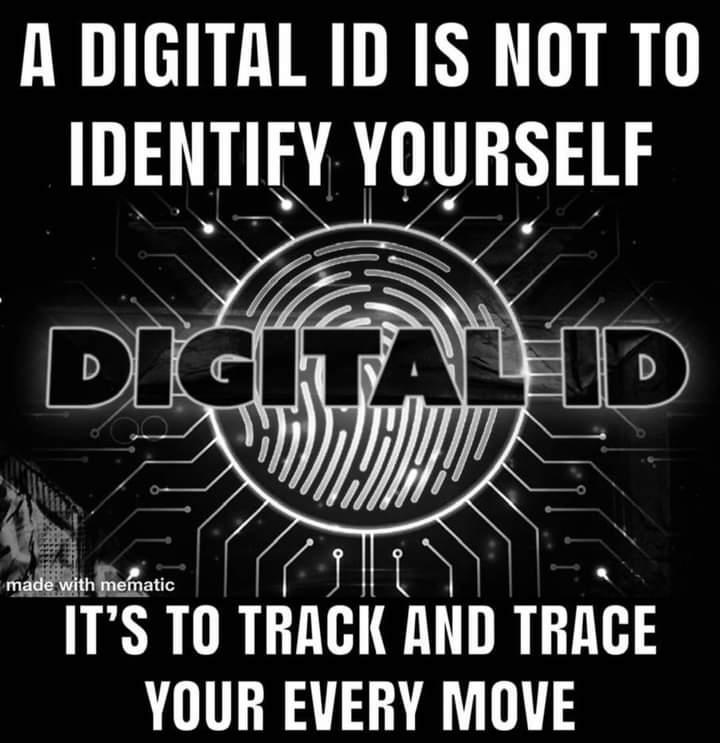 Digital ID-DFKmjNRLSZRNYYrjNrozwQ.jpg