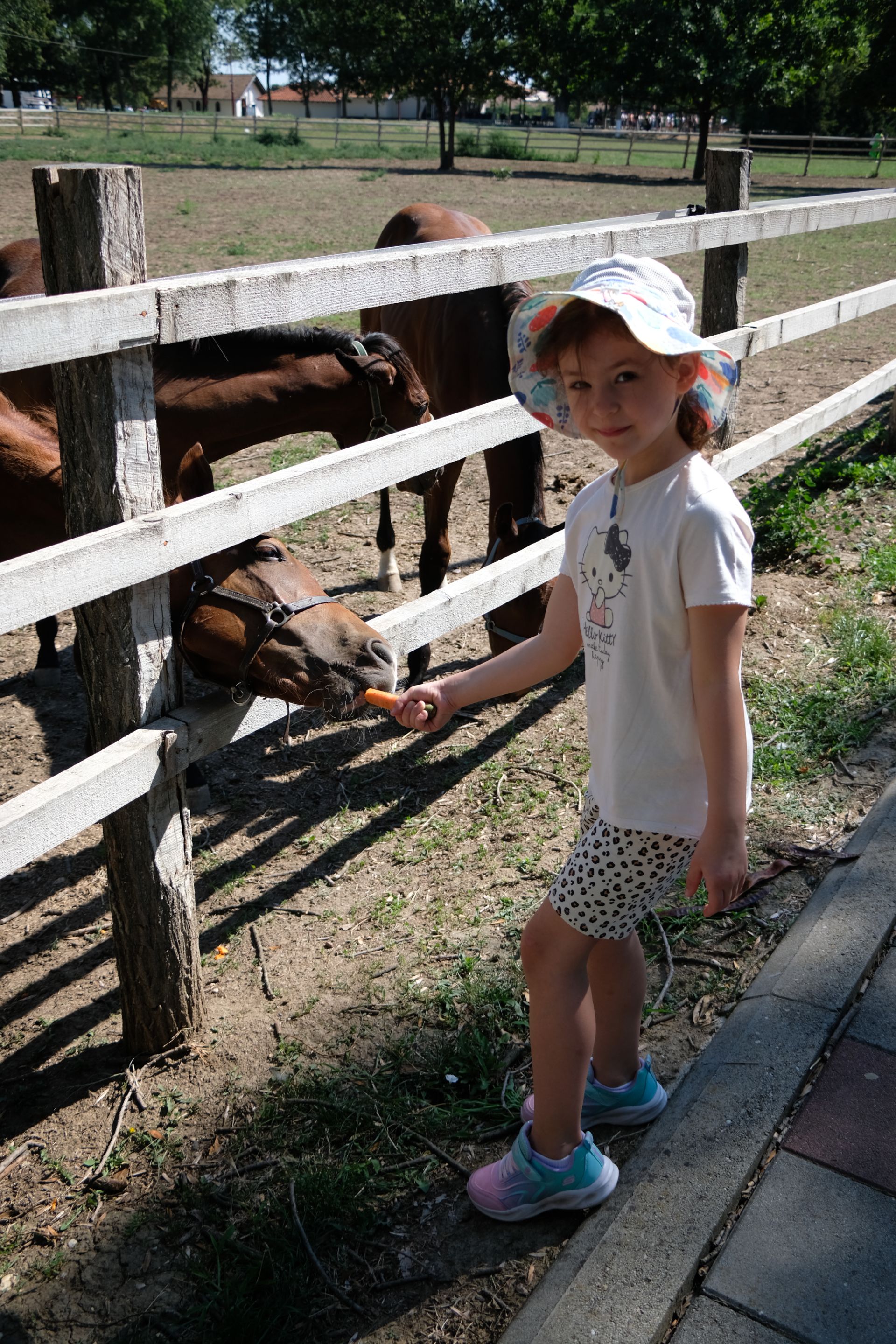 DSCF9572.JPG