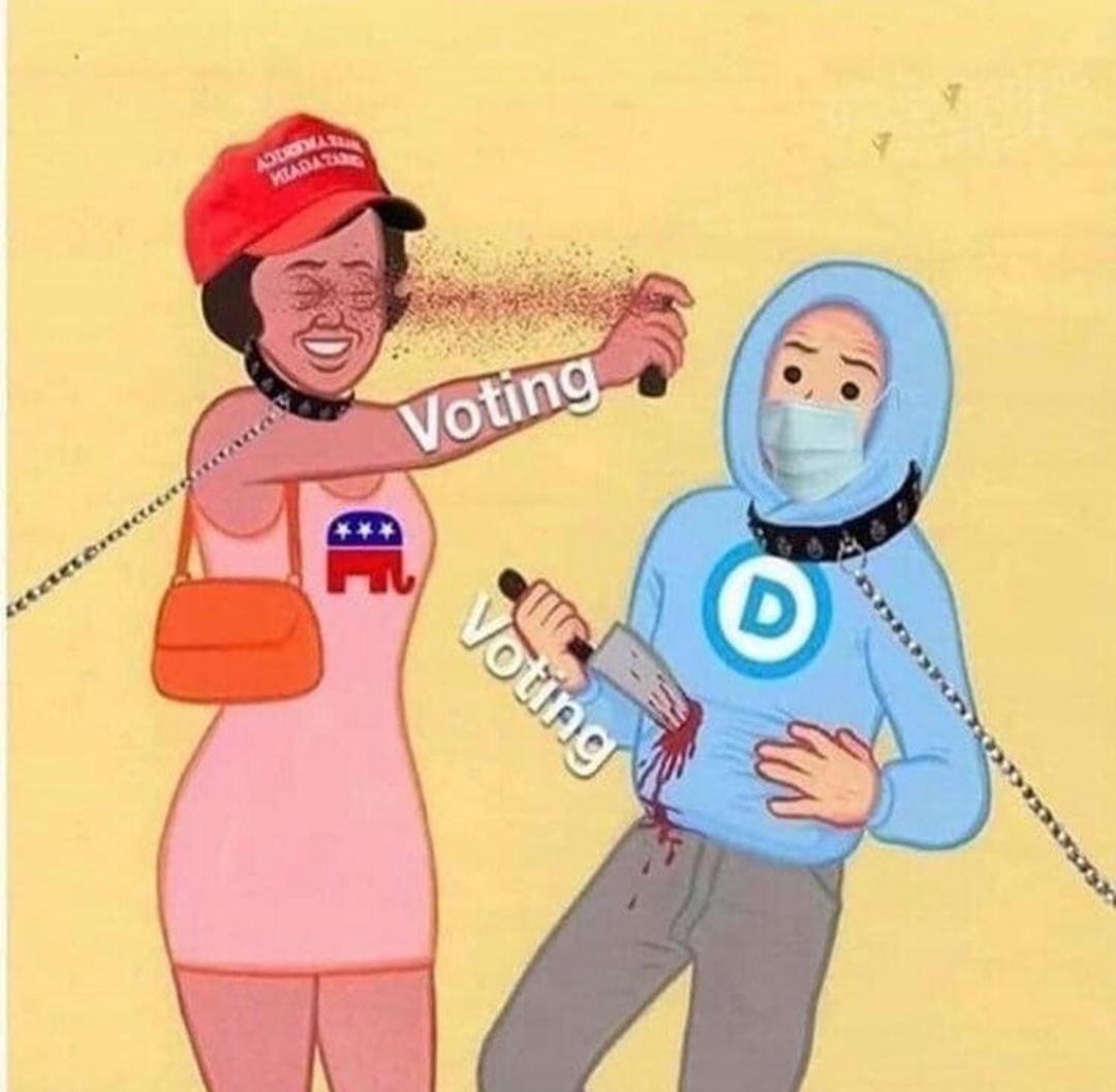 Voting-ppcZxjm.jpg