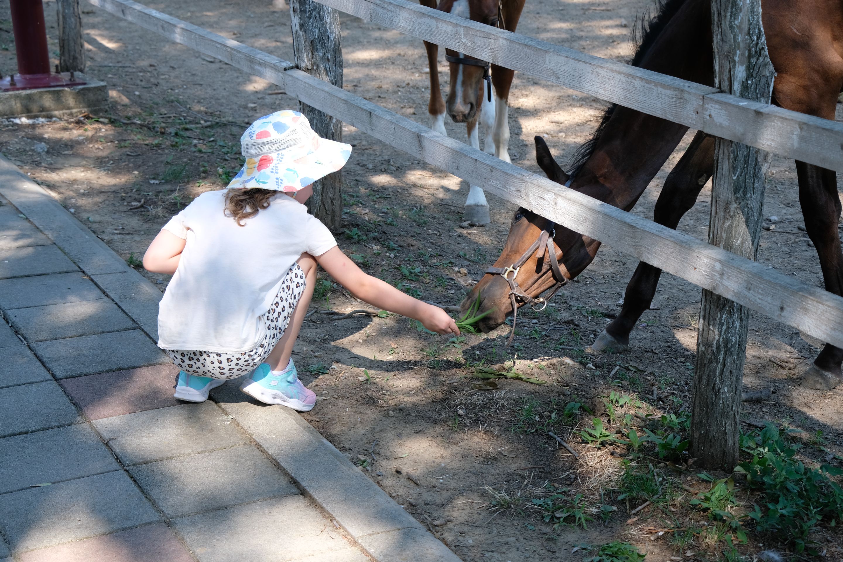 DSCF9590.JPG