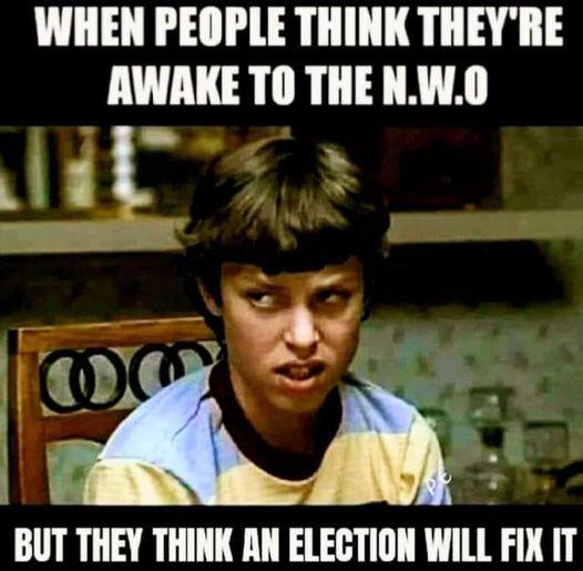 Elections-dlcS75z.jpg