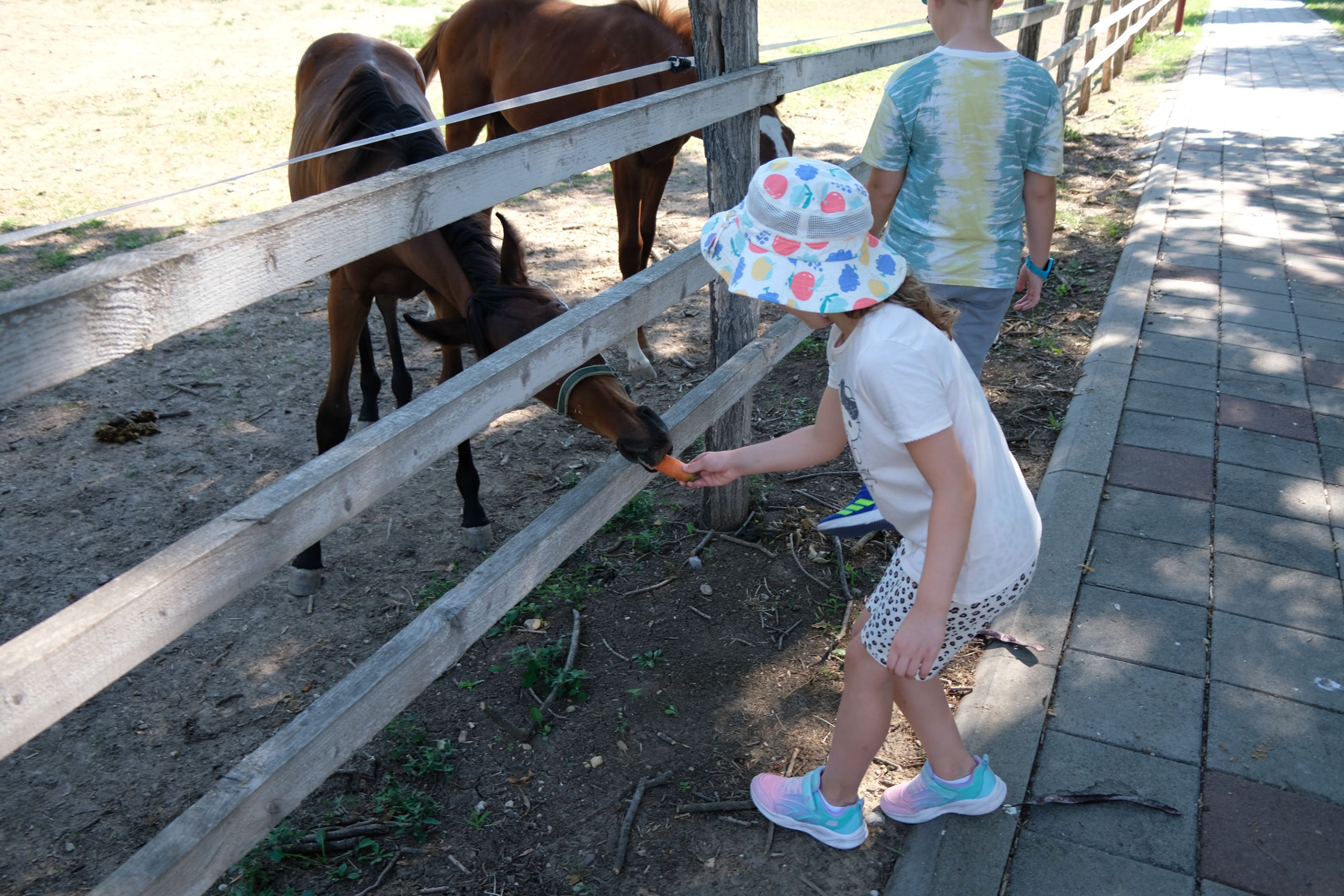 DSCF9586.JPG