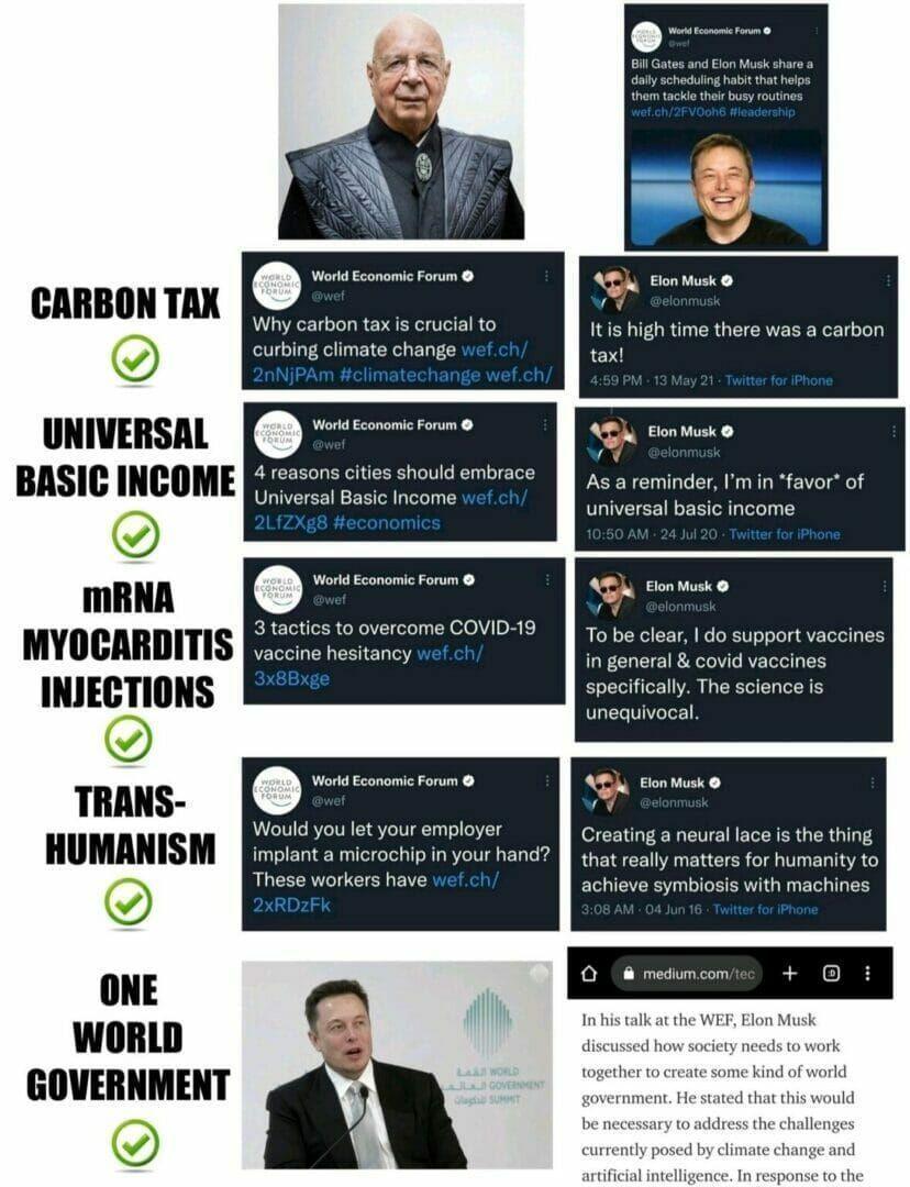Elon-Jm3NYYt.jpg
