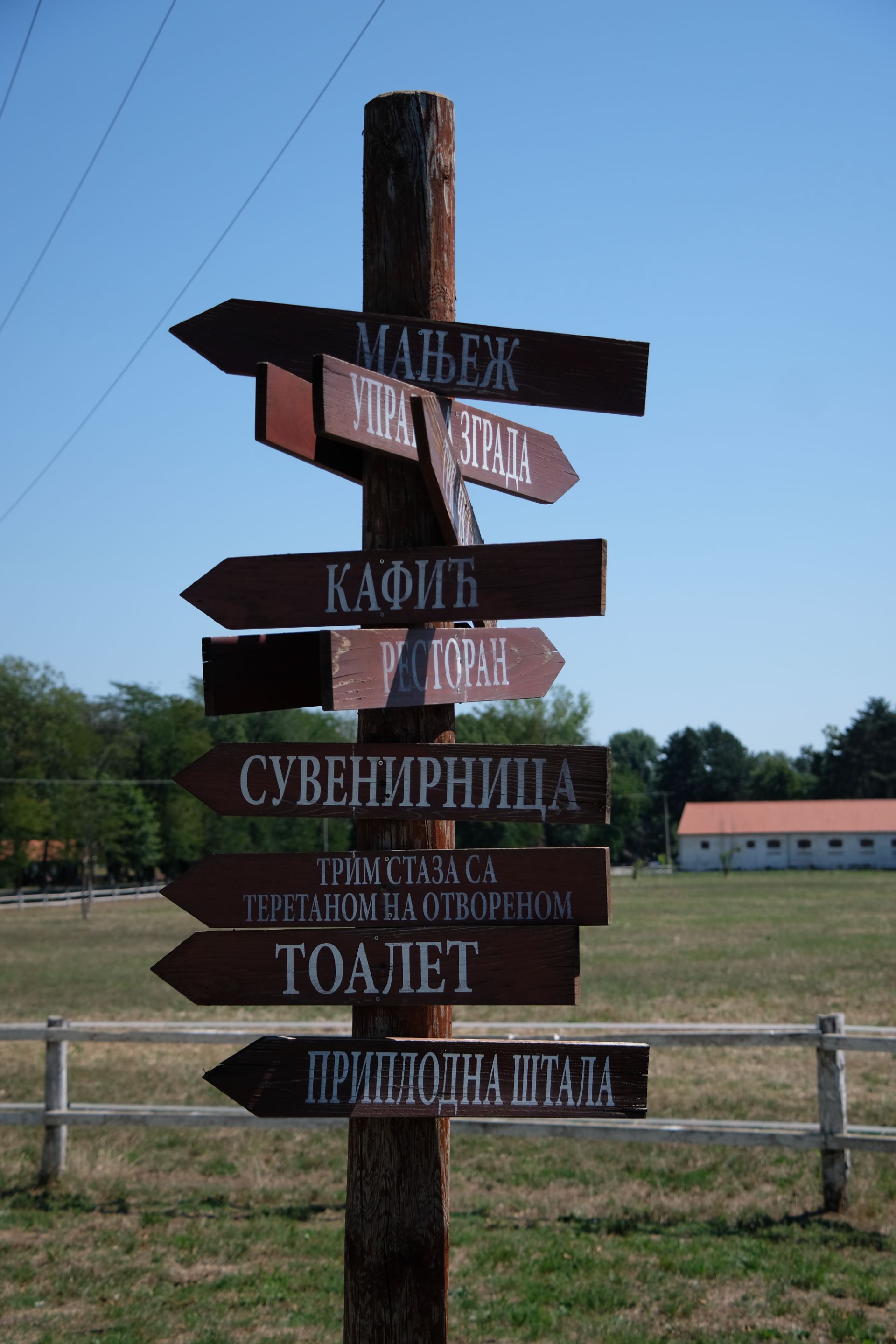 DSCF9608.JPG