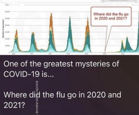 Flu-tvlWMNAglqQclyFakfsUQc_cr.jpg