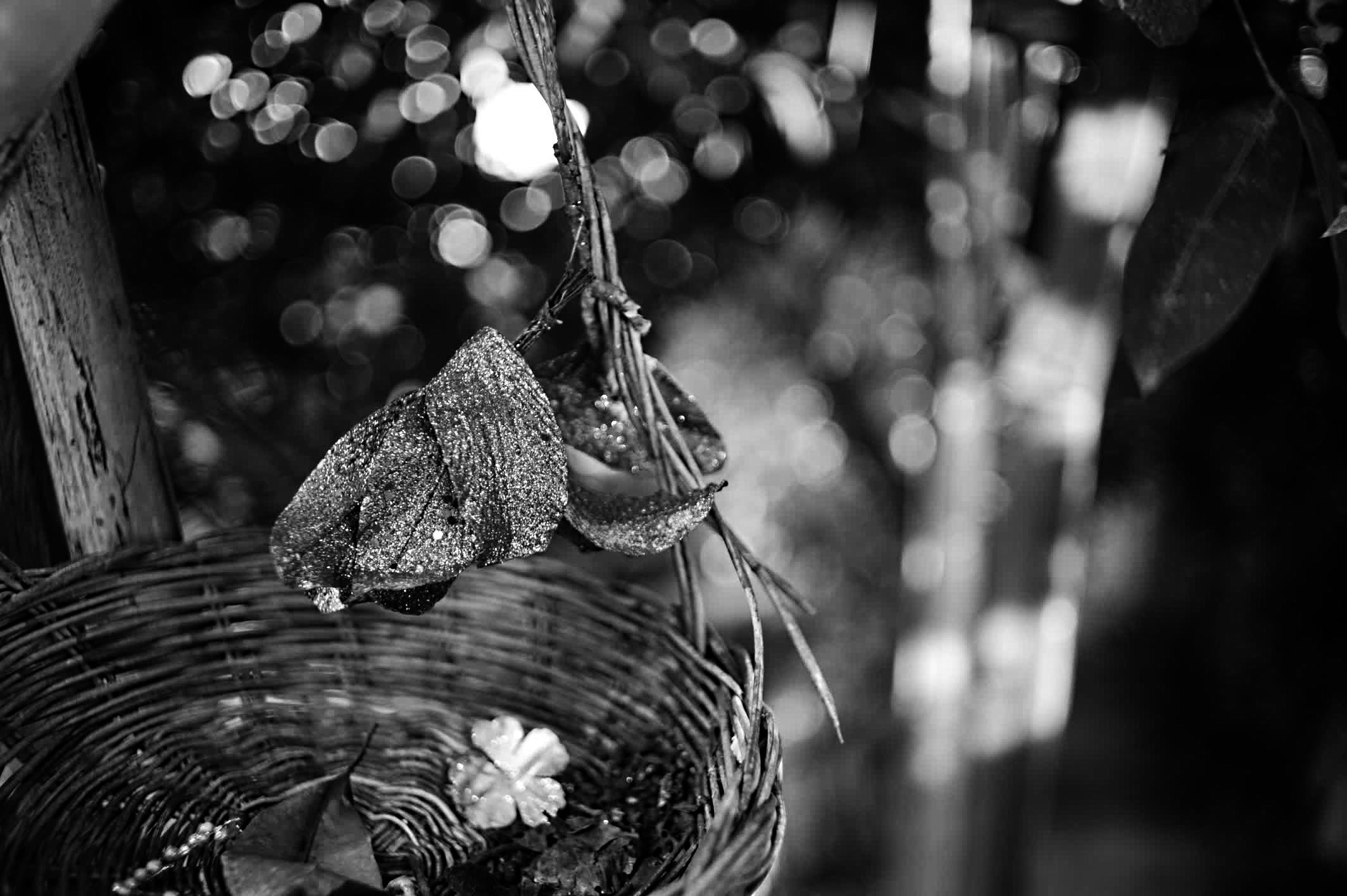 Flower offering