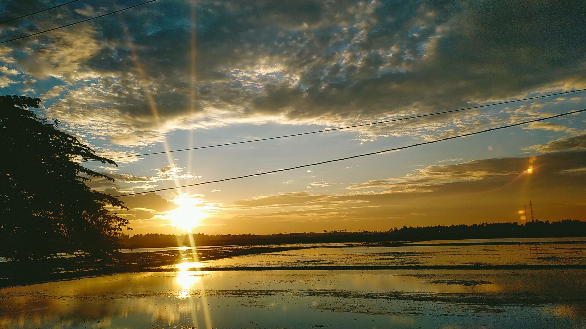 IMG20211201173956.jpg