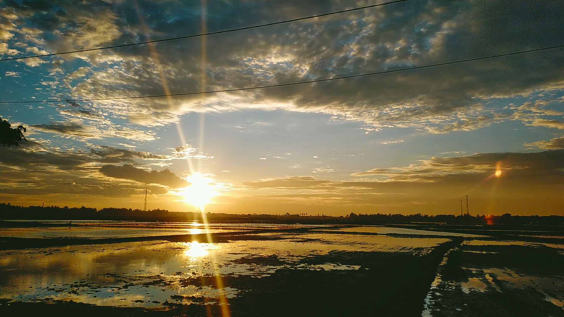 IMG20211201173946.jpg