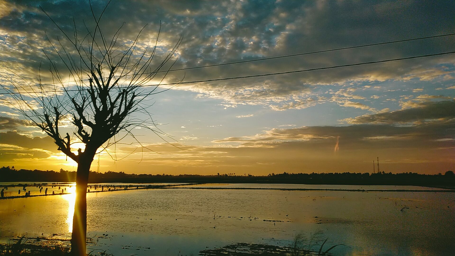 IMG20211201174005.jpg