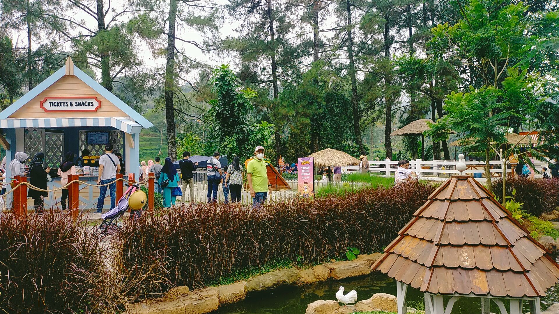 IMG20220326105003.jpg