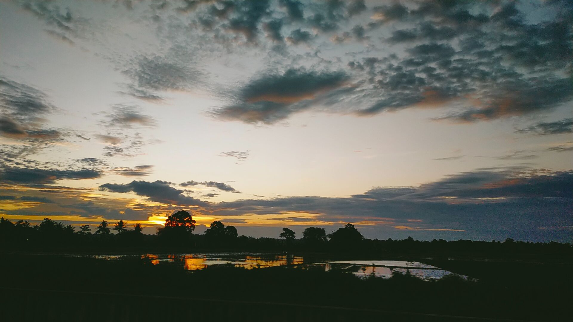 IMG20211201175450.jpg