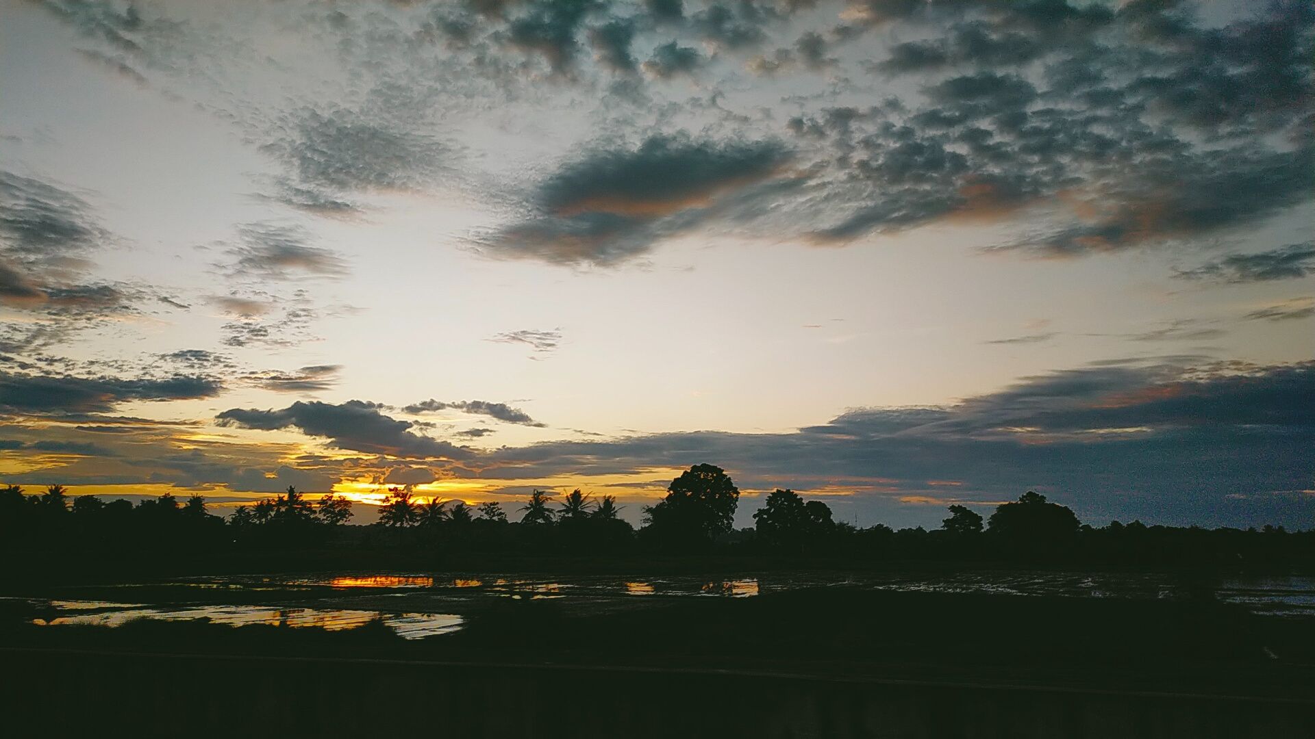 IMG20211201175456.jpg