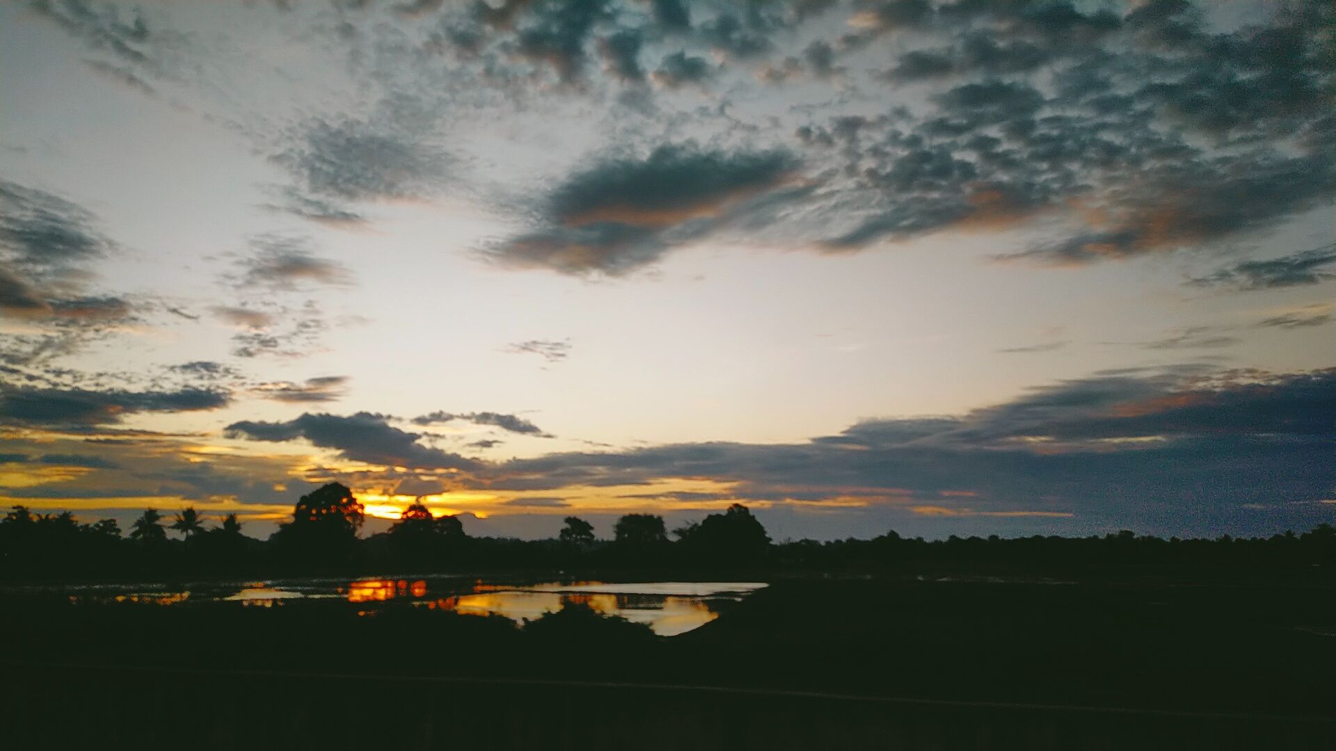 IMG20211201175448.jpg